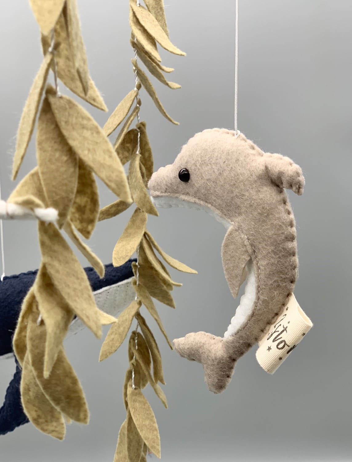 0014691-ocean-donence