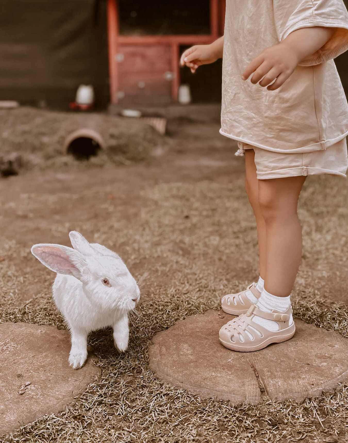 sandales-de-plage-enfant-mrs-ertha-sundays-kids-store-peanut-1